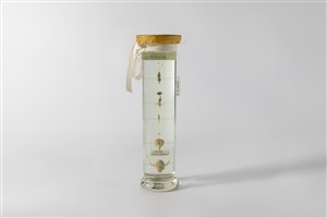 Image description is not available for 2003.10.8